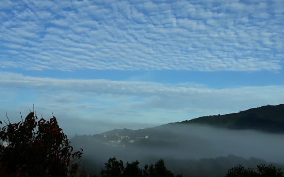 Autumn morning, Wellington