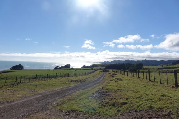The Whitecliffs walkway runs through a mix of public and private land.