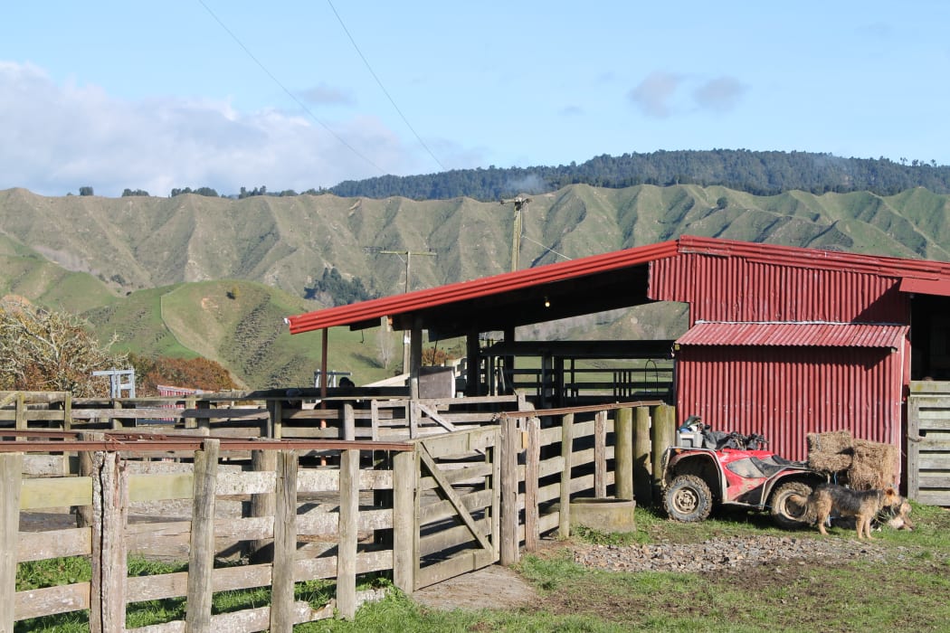 King Country farm