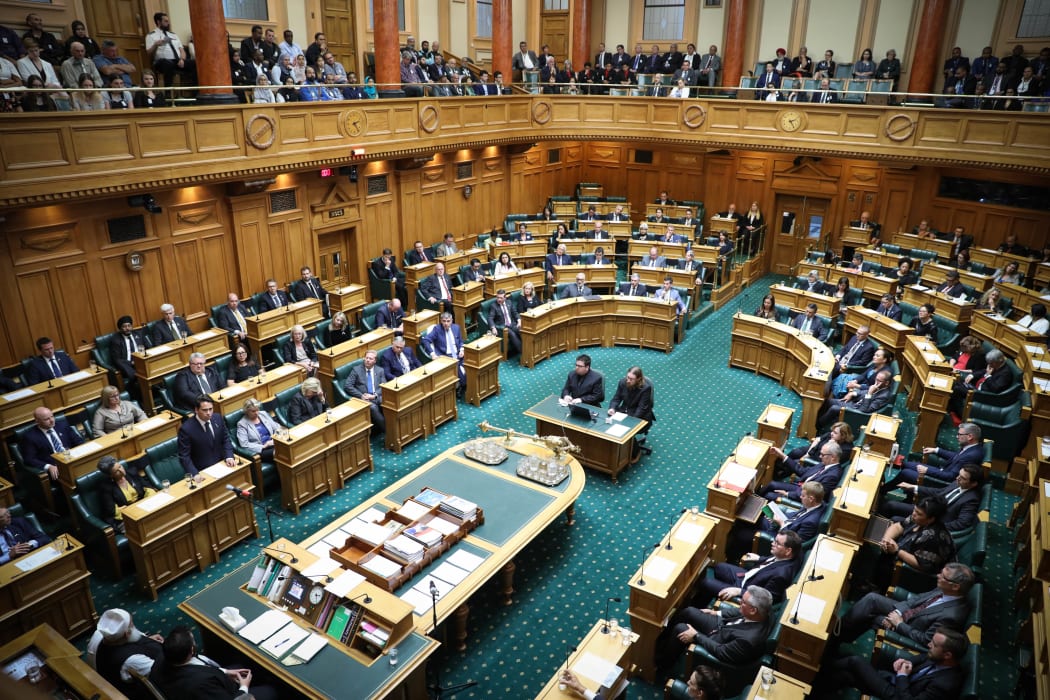 National Party Leader Simon Bridges speaks in the debating chamber.