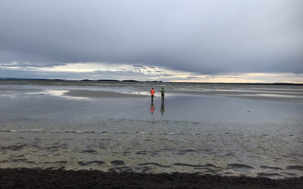 Two people walk out onto a mudflat where the tide is out beneath a big grey sky.