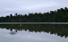 Kotuku Mermaid Peninsula