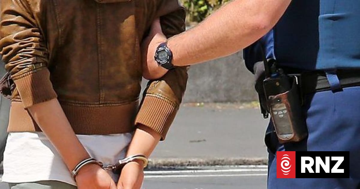 New citizen's arrest powers 'putting retail staff in harm's way', Retail NZ says