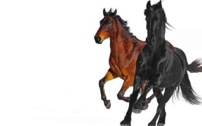 Old Town Road (Remix) Cover