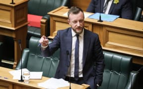Labour Party Whip Kieran McAnulty in the House