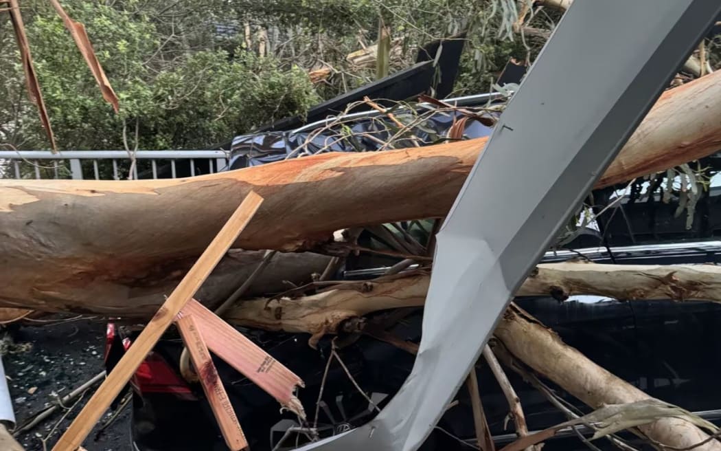 A couple in Meadowbank are furious after a tree that have pleaded with Auckland Council to have removed was ripped out of the ground in a fierce storm on the night on 29 May, ending up on their house.

Photos supplied via NZH - single use only.