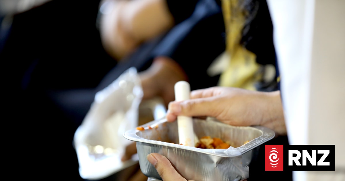 Greens vow to restore original school lunch programme, include more schools