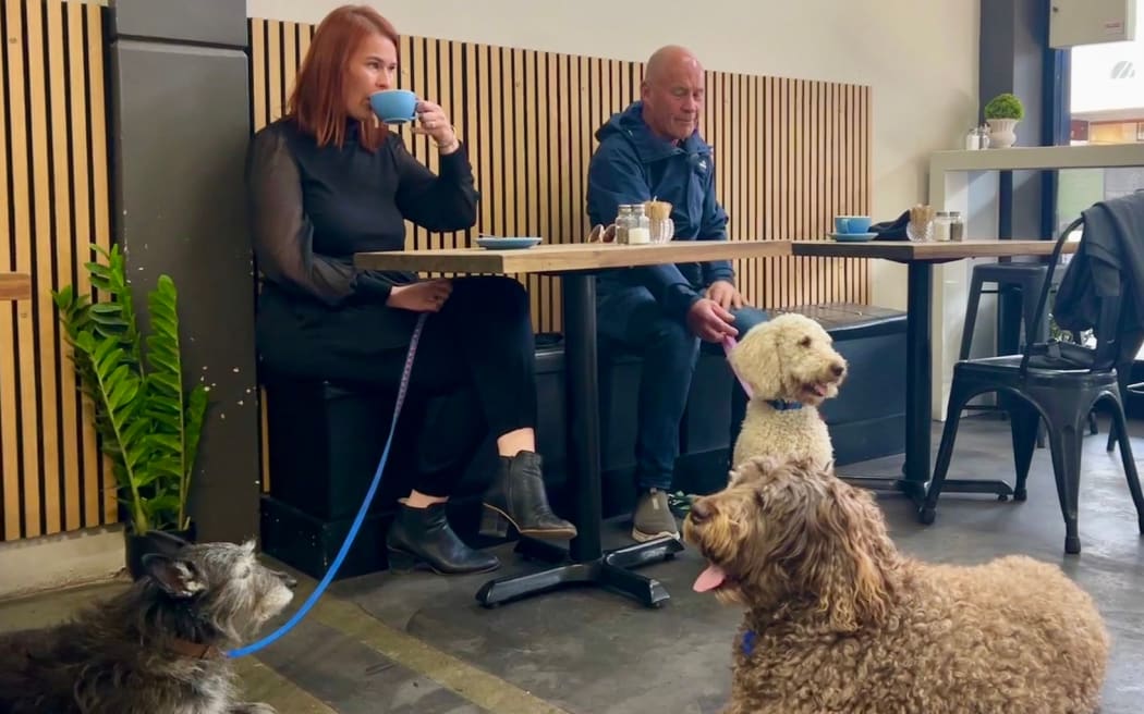Dog-Friendly Napier aims to make the CBD more welcoming for four-legged friends.
