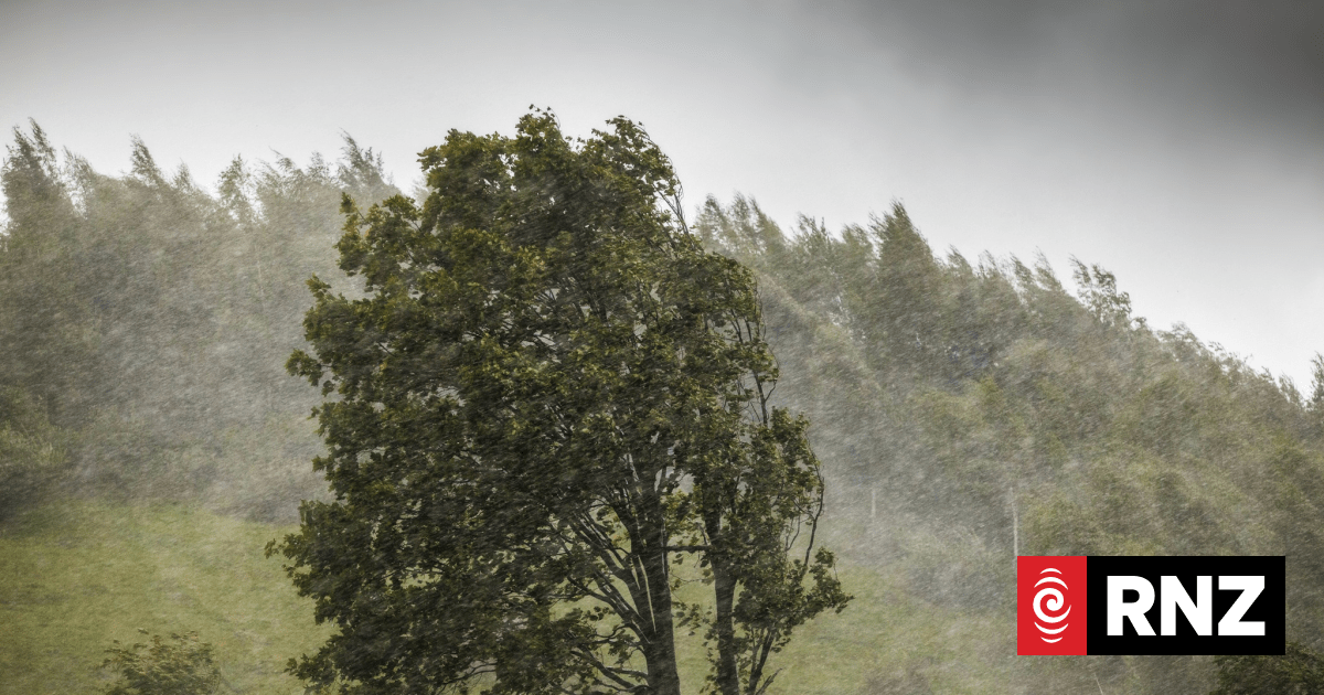 Strong winds down trees, rip off roofs in Far North during overnight storm