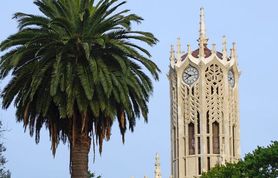 University of Auckland
