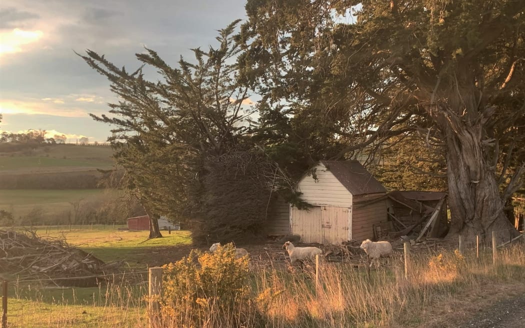 Regional Wrap - Country Life- 2 Sept Otago