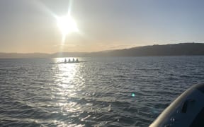 Rowers including Toby Ireland rowing along the Petone foreshore in Wellington