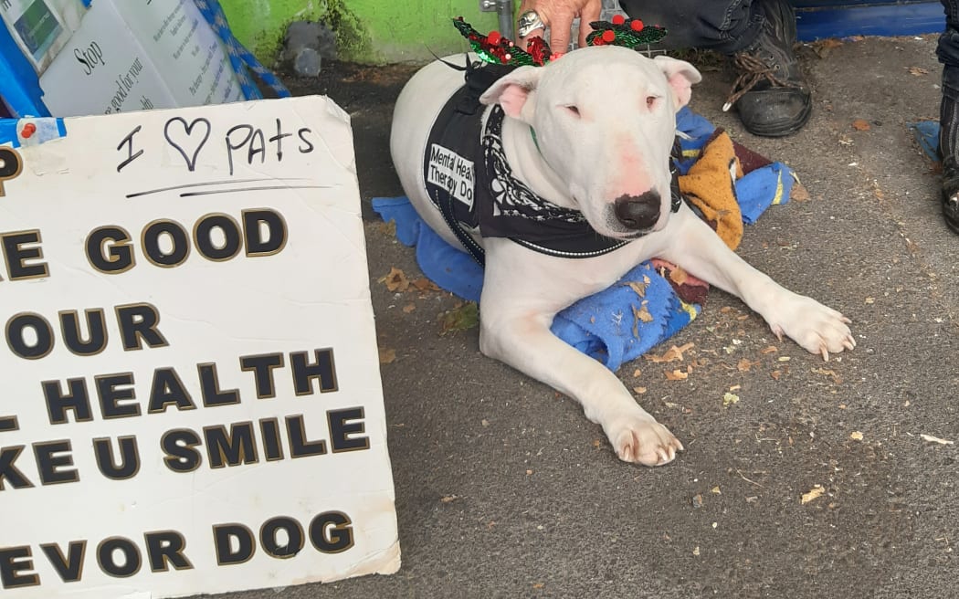 Rob Walker says his dog, Trevor, encourages people to chat.