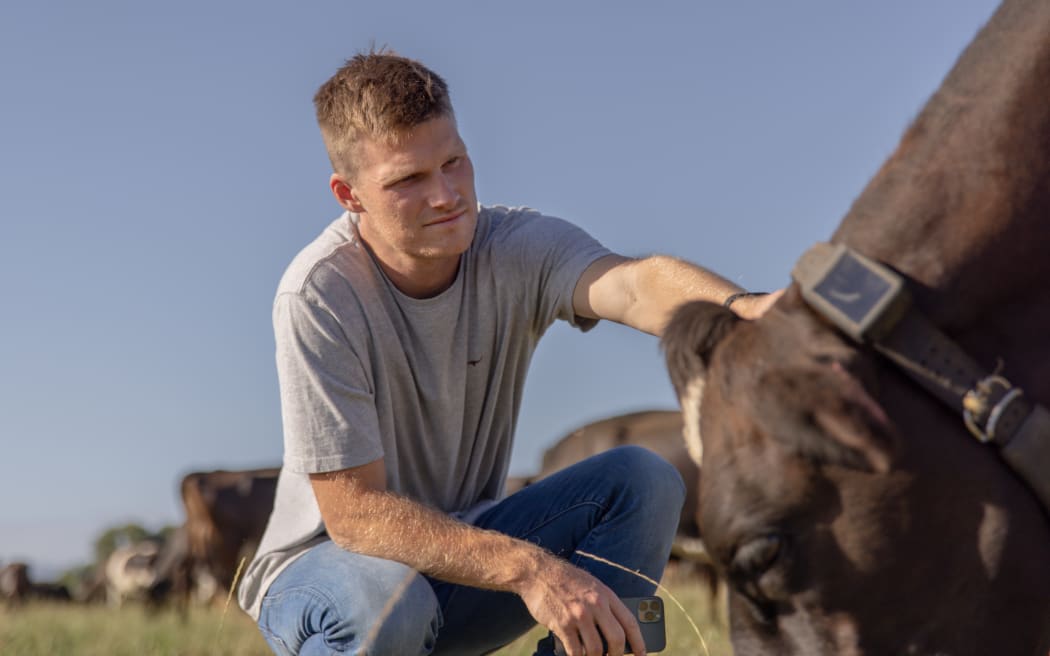 Halter chief executive Craig Piggott.