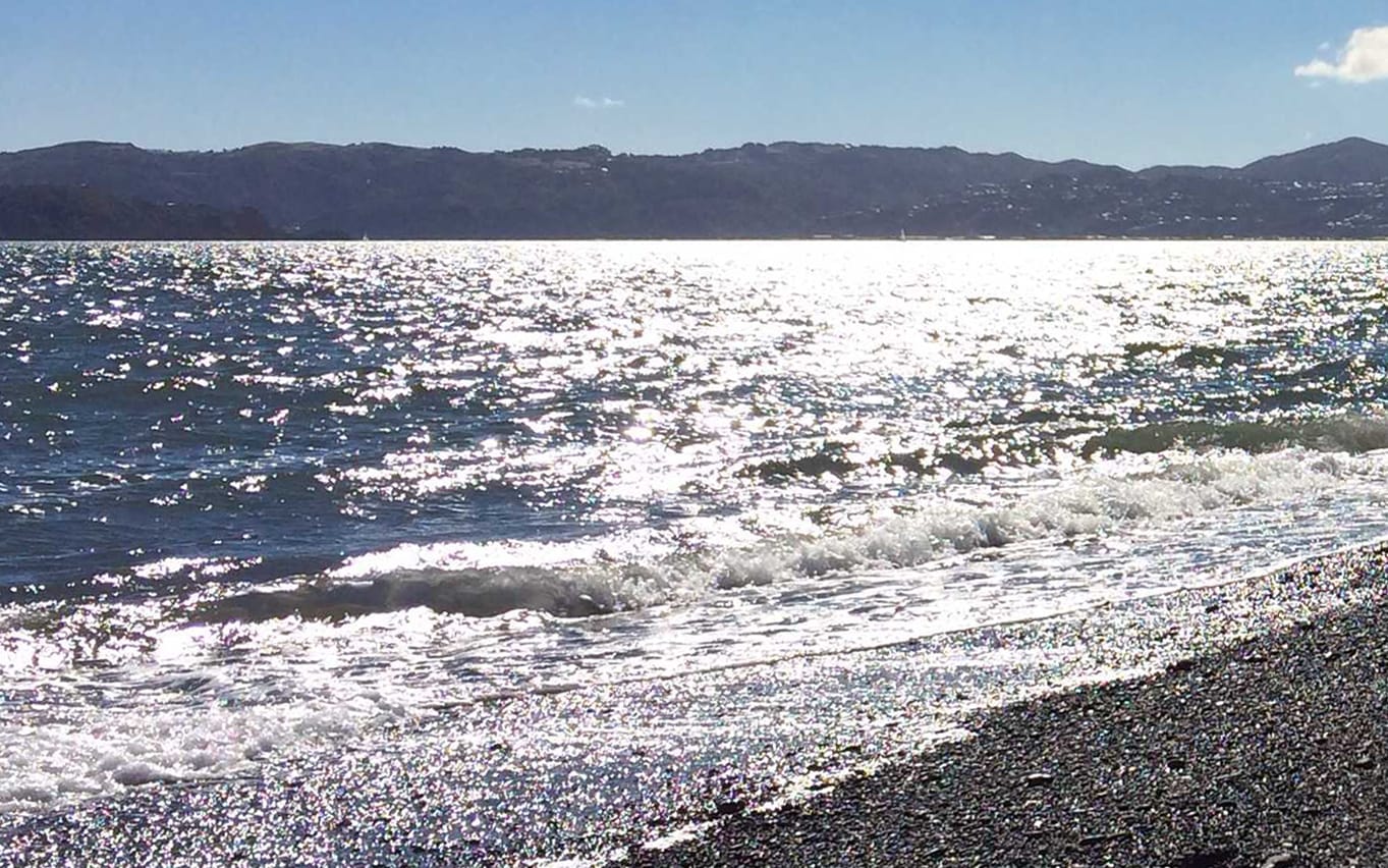 Beach-goers enjoy the sunshine at Eastbourne in Wellington.