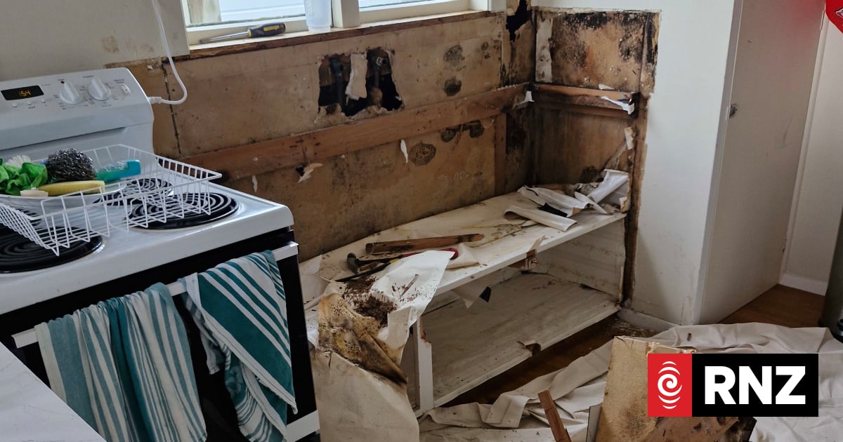 Rental with soggy floorboards and leaky roof among first to jump tribunal queue
