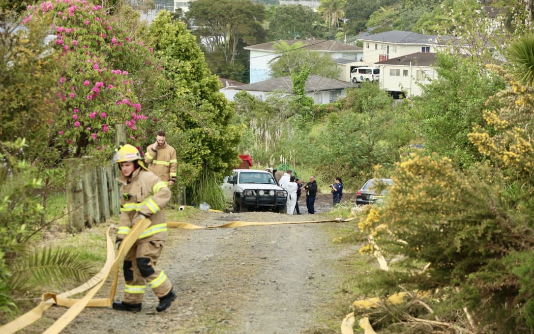 A person is in hospital with dog bite injuries following a house fire in the Auckland suburb of Massey.