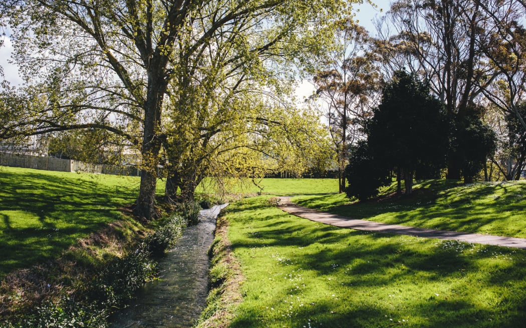 A charter agreement between Te Waiohua iwi, Auckland Council, Ōtara-Papatoetoe and Manurewa local boards, Kāinga Ora was collaborated on to restore Puhinui Stream.