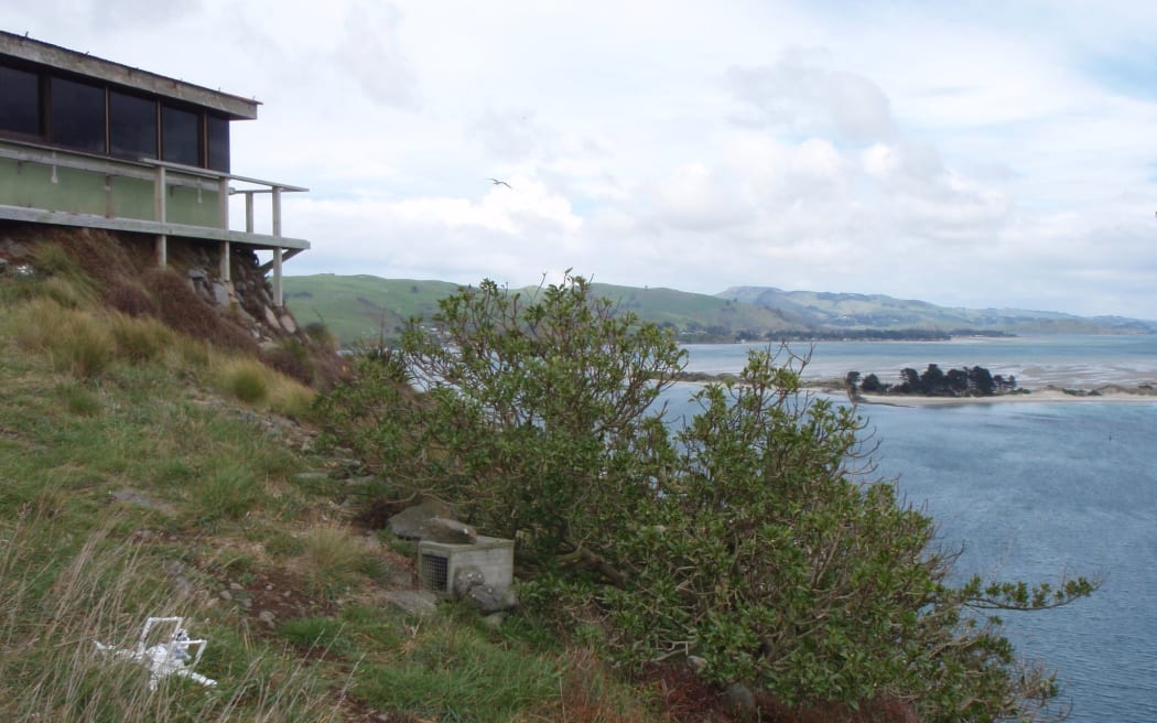 A crashed drone was found within the albatross colony at Pukekura/Taiaroa Head on Otago Peninsula.
