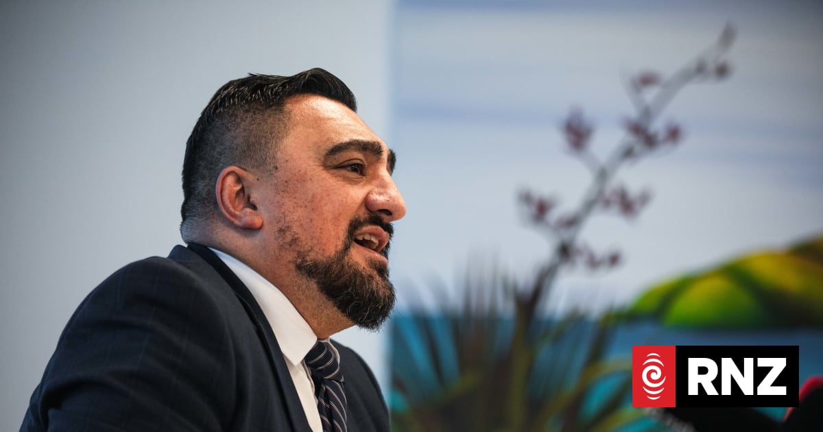 Oranga Tamariki chief executive Chappie Te Kani resigns | RNZ
