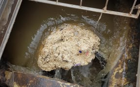Fatbergs have been blocking up New Plymouth District Council's wastewater networks