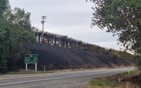 Evidence of a scrub fire on farmland next to SH1 before the Waipara River Bridge.