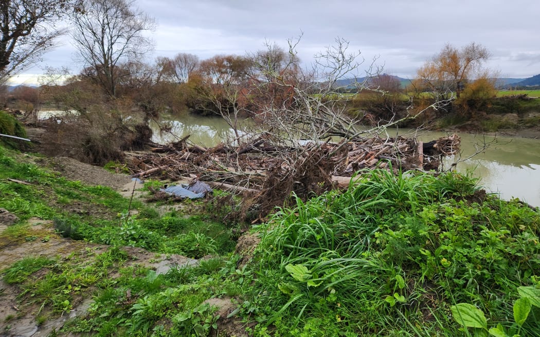 Logs build up against the banks of the Uawa in Tolaga Bay