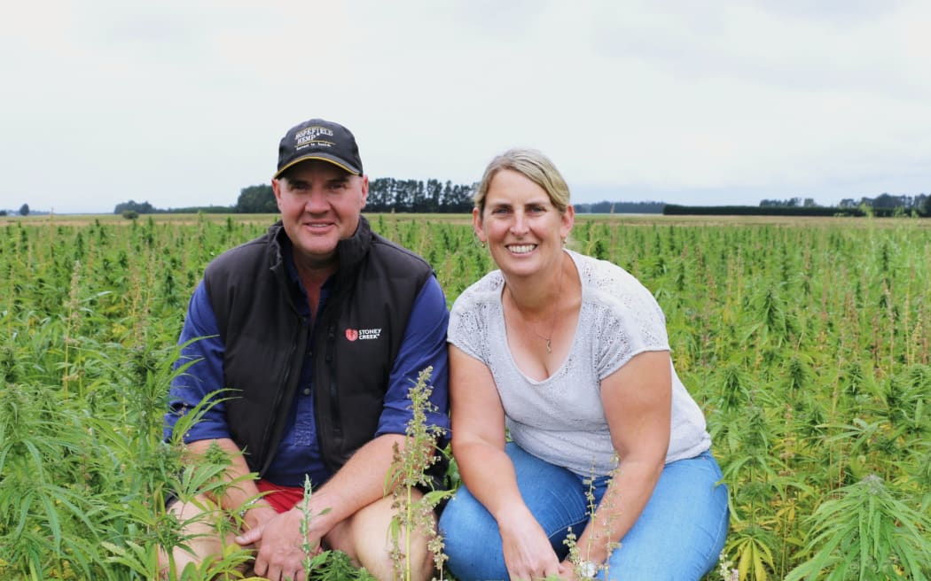 Hopefield Hemp