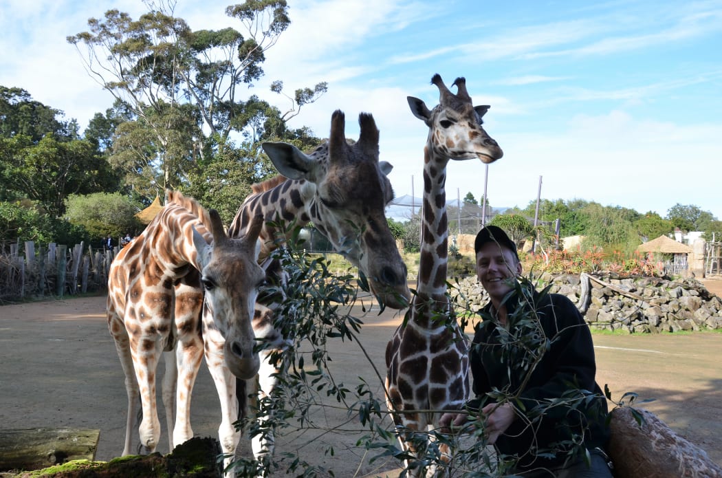 Auckland Zoo Pridelands team leader Tommy Karlsson