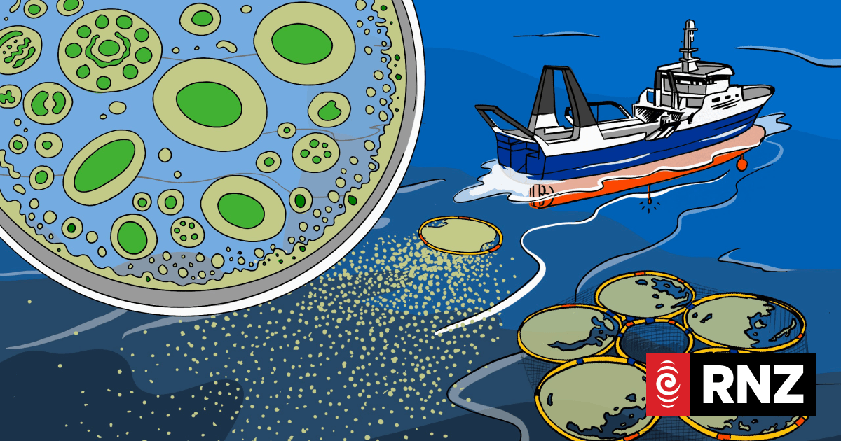 Start-up asked for regulation changes to allow controversial marine carbon storage