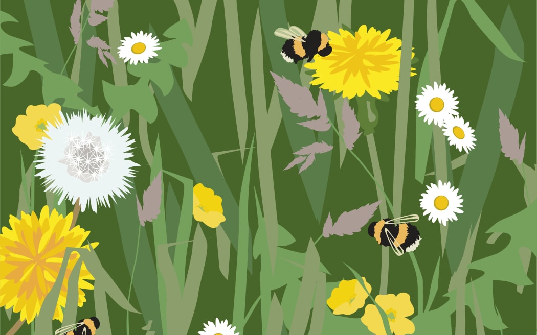 Flowers, illustration