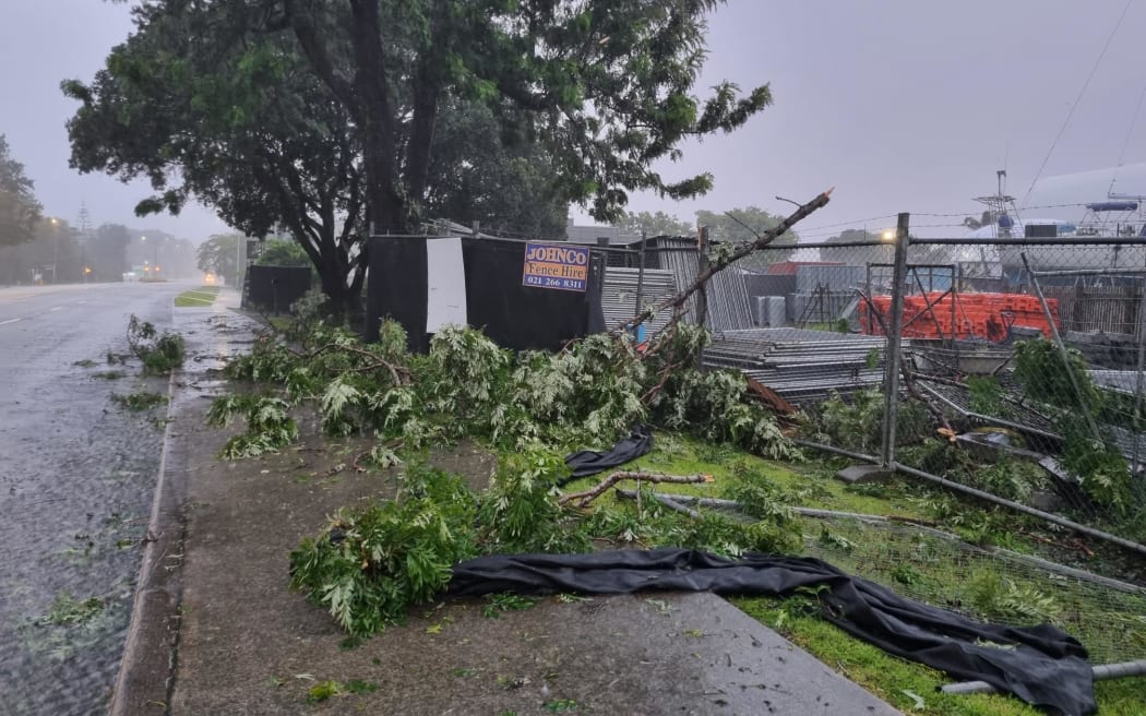 Downed trees on Riverside Drive in Whangarei.