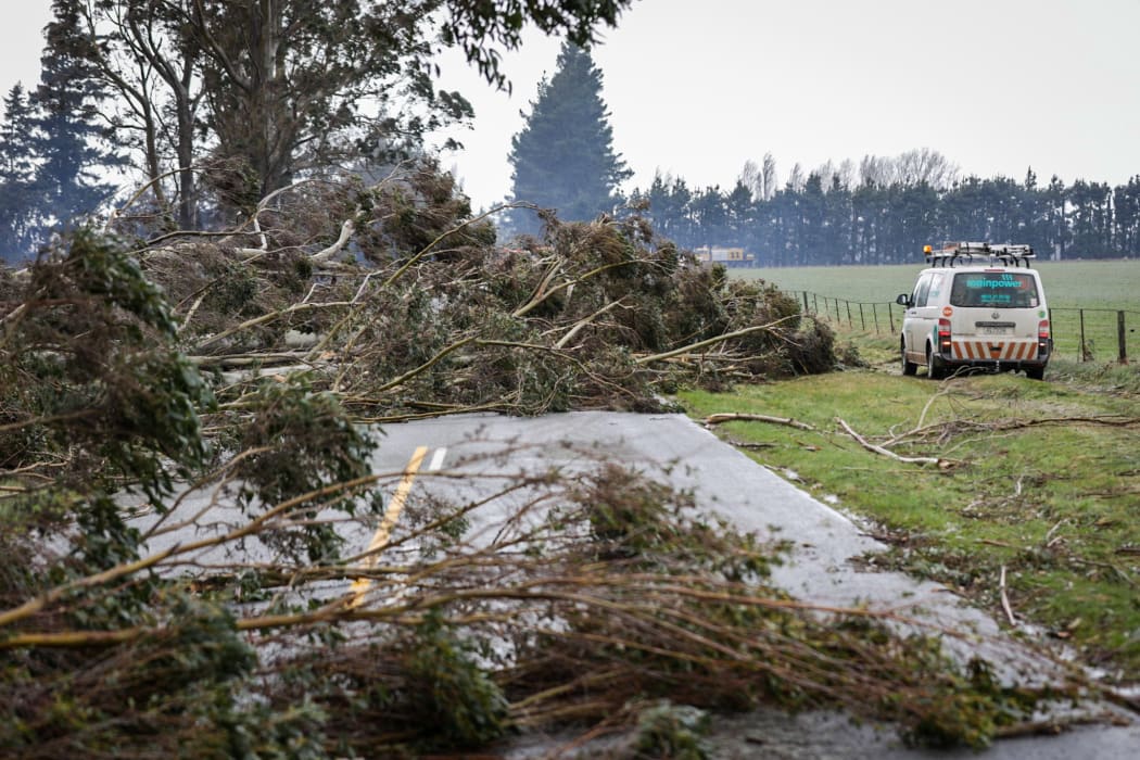 Trees down after gales at Birch Hill Rd, Glentui, Canterbury.