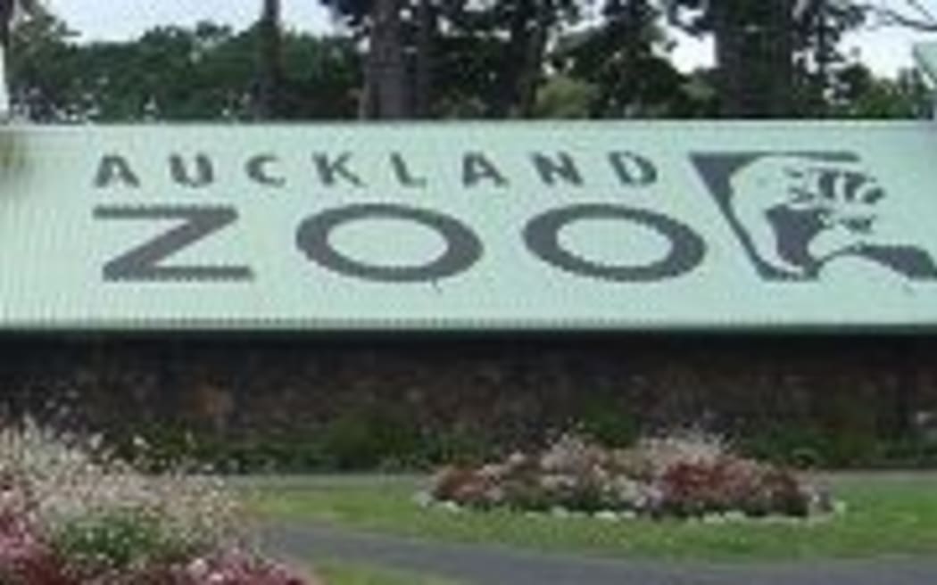 Auckland Zoo