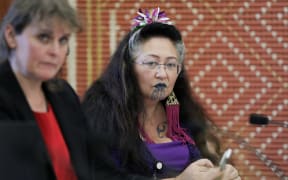 Green Party MP Elizabeth Kerekere in select committee