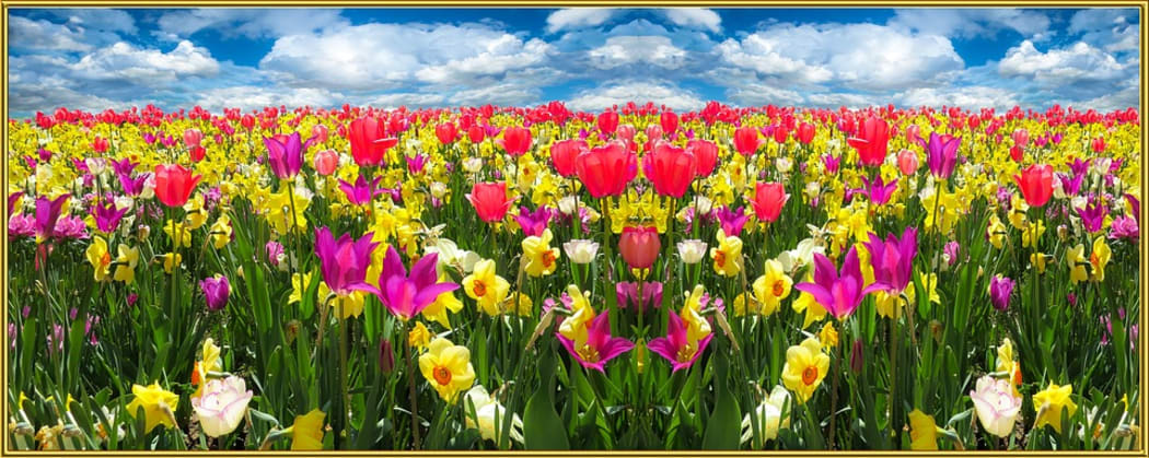 spring flowers