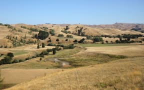 Dry conditions east of Masterton.