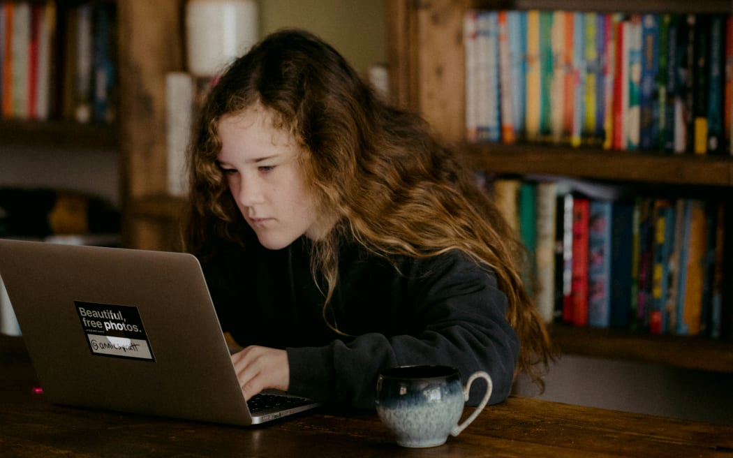 A girl looking at a laptop screen.