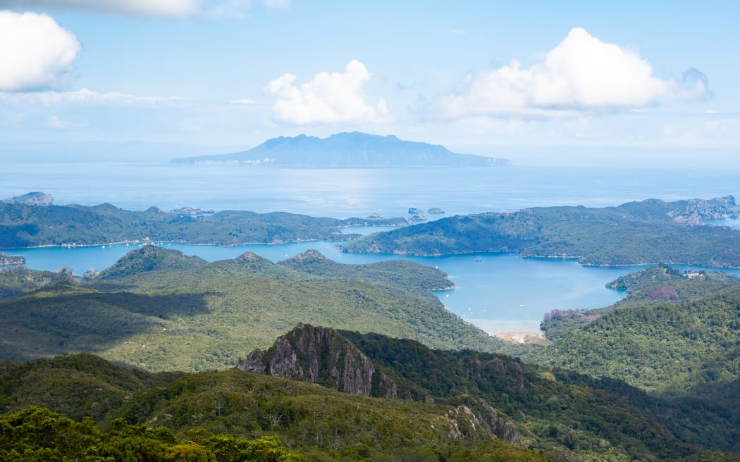 Little Barrier, viewed from the summit of Mt Hobson