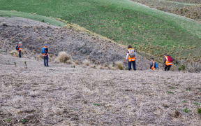 Over the weekend, a team of 50 searchers has been looking on farmland near Dunedin for the meteorite which crashed to Earth about a fortnight ago.