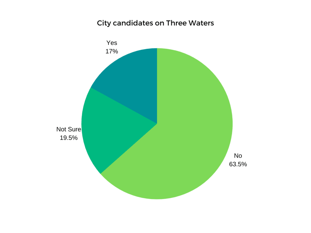 City candidates on Three Waters.