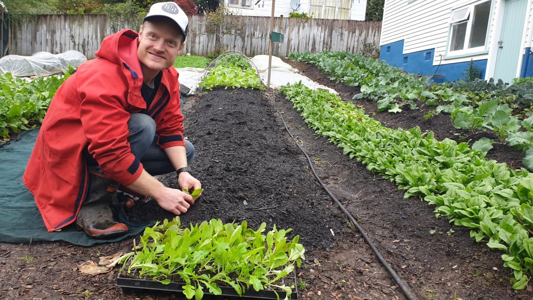 Carl and Kati Freeman have converted their quarter-acre section into a small-scale organic market garden.