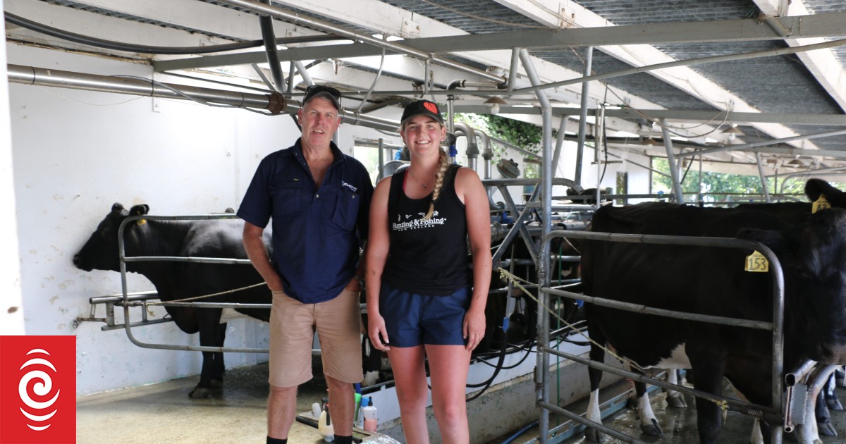 From cow to cone - a big scoop from Nelson - Vimarsana News