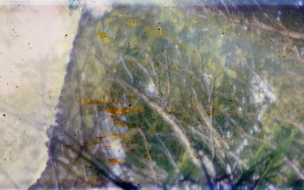 Sand, soil, stone, sticks, frond stem of mamaku, water, light two, 87 centimeters x 2.5 meters, Archival Inkjet Print, 2023