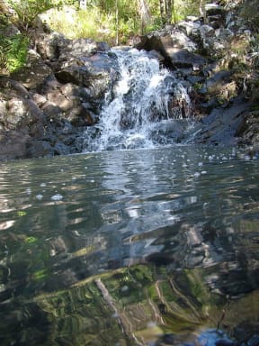 Stream running through the Windy Hill Sanctuary.