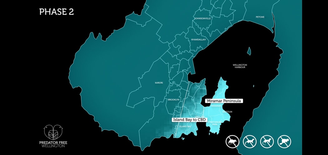 The $7.6 million funding boost announced for the Wellington Predator Free 2050 programme covers Phase 2 of the project, which will cover 19 suburbs from Island Bay to Kilbirnie and the CBD.