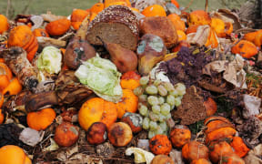 rotten fruit and veges