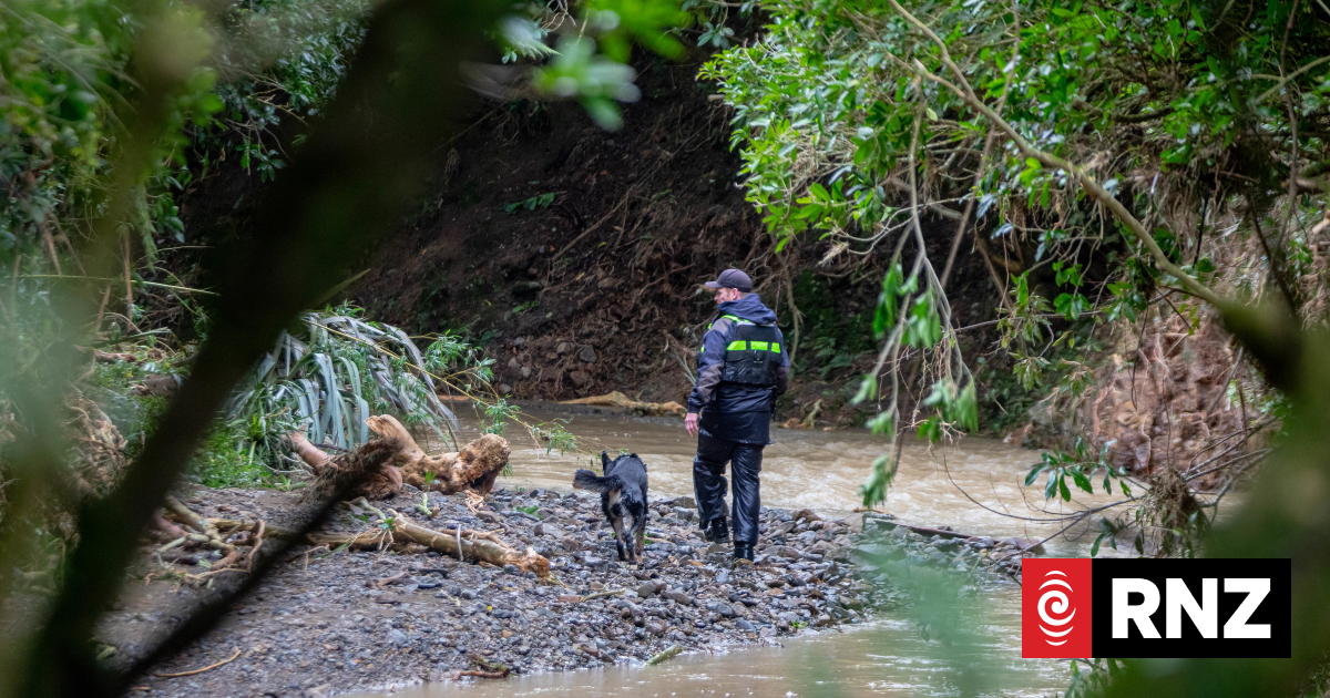 Specialist search teams look for Philip Sutton, missing since Wellington storm