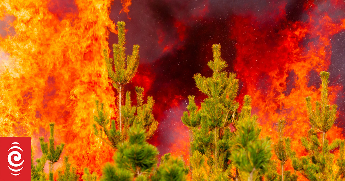 The fires are coming thick and fast: What you need to know - Vimarsana News