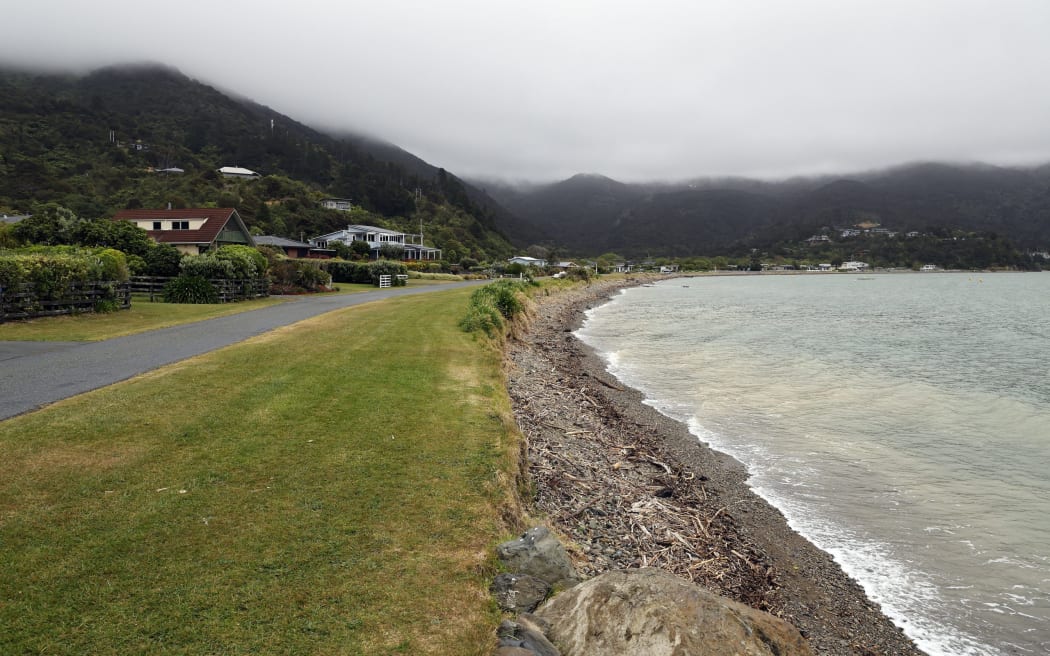 About a quarter of the homes in Okiwi Bay have permanent residents, one local says.